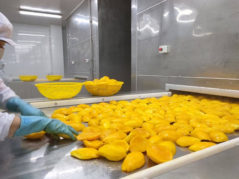 xoài đông lạnh đà nẵng 1kg