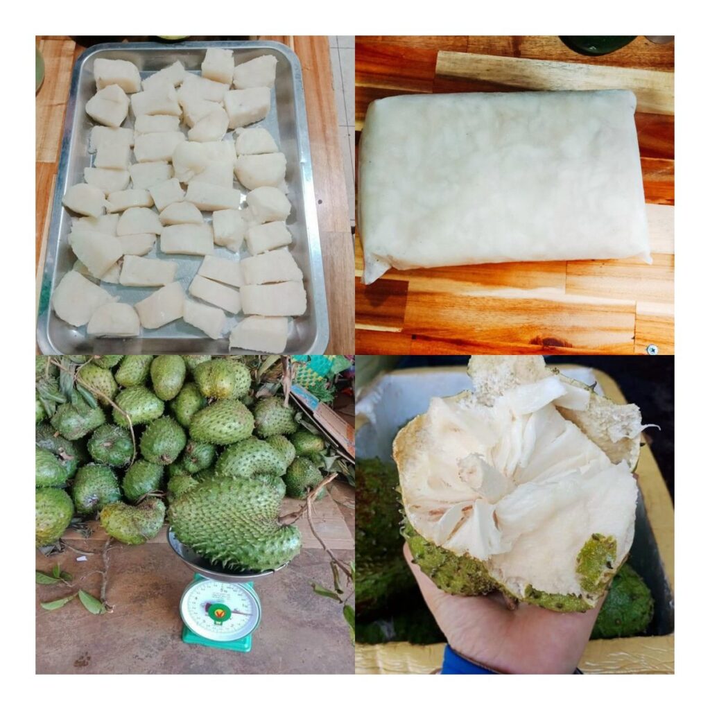 trái cây đông lạnh,mãng cầu đông lạnh