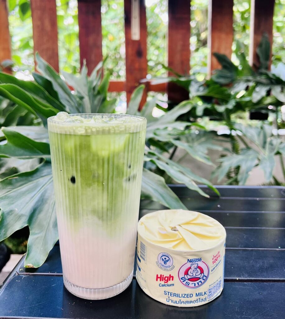công thức matcha latte sữa gấu