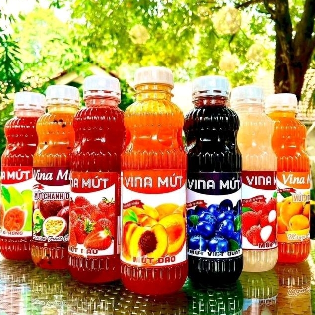 Mứt Sinh Tố Trái Cây Vina Chai 1 Lít