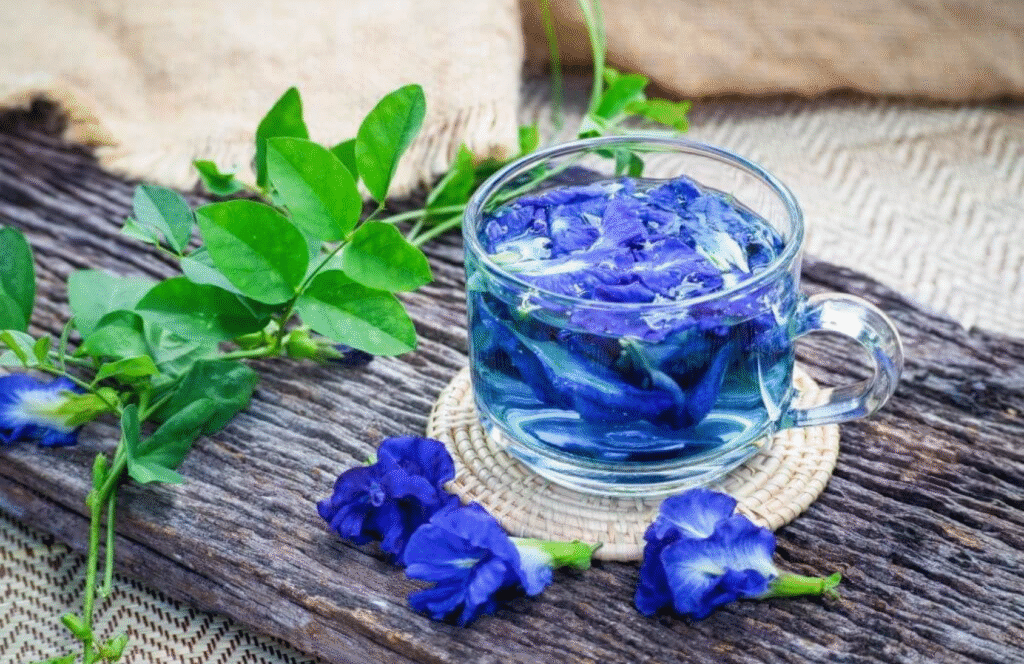 trà hoa đậu biếc