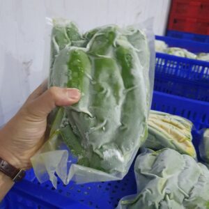 trái cây cấp đông