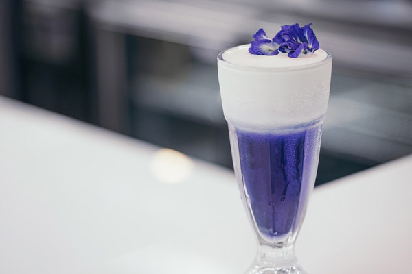 Trà Hoa Thảo Mộc Đậu Biếc Macchiato