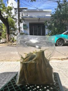 trái cây đông lạnh tại huế