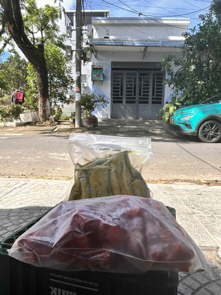 trái cây đông lạnh tại huế